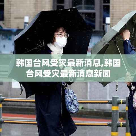 韩国台风受灾最新消息,韩国台风受灾最新消息新闻