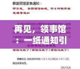 再见,领事馆:一纸通知引发的全球震动