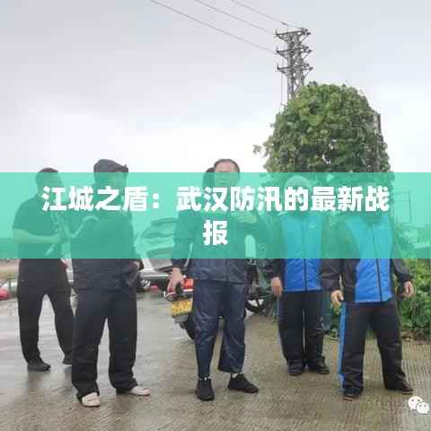 江城之盾：武汉防汛的最新战报