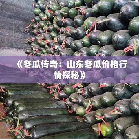 《冬瓜传奇:山东冬瓜价格行情探秘》