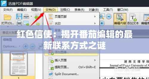 红色信使:揭开番茄编辑的最新联系方式之谜