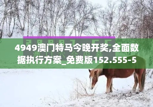 4949澳门特马今晚开奖,全面数据执行方案_免费版152.555-5