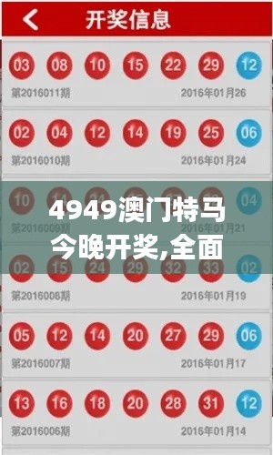 4949澳门特马今晚开奖,全面数据执行方案_免费版152.555-5