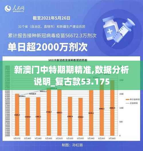 新澳门中特期期精准,数据分析说明_复古款53.175