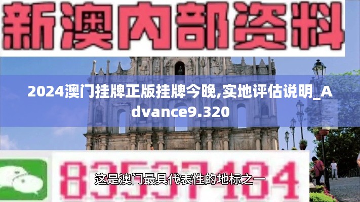2024澳门挂牌正版挂牌今晚,实地评估说明_Advance9.320