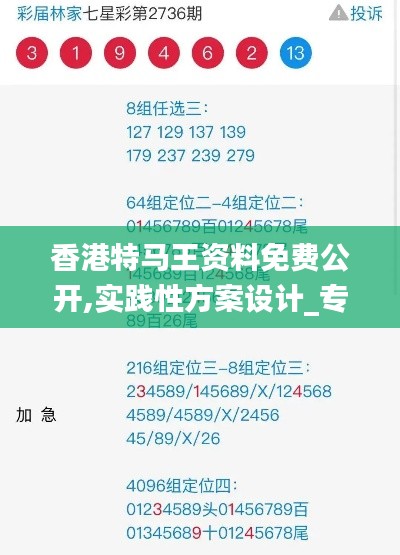 香港特马王资料免费公开,实践性方案设计_专家版46.531