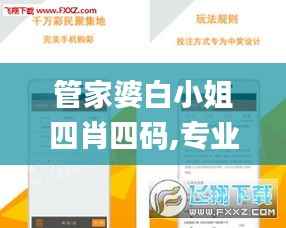 管家婆白小姐四肖四码,专业解析评估_Max78.172