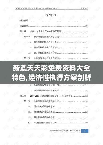 新澳天天彩免费资料大全特色,经济性执行方案剖析_升级版82.401