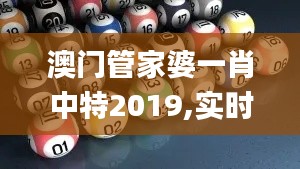 澳门管家婆一肖中特2019,实时解析说明_黄金版144.468