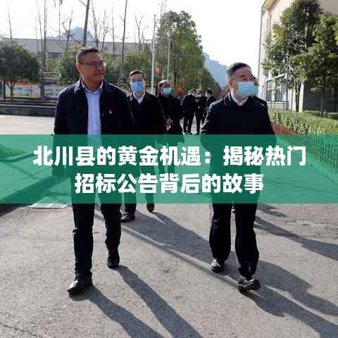 北川县的黄金机遇:揭秘热门招标公告背后的故事