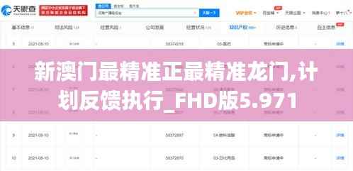 新澳门最精准正最精准龙门,计划反馈执行_FHD版5.971
