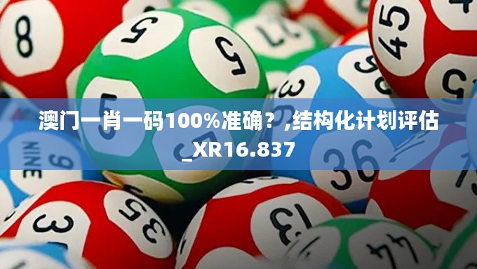 澳门一肖一码100%准确?,结构化计划评估_XR16.837
