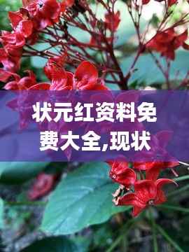 张皇铺饰 第4页