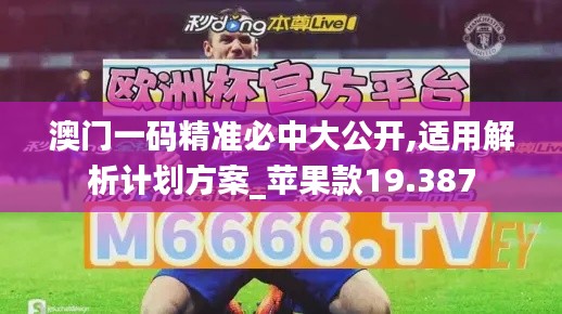 澳门一码精准必中大公开,适用解析计划方案_苹果款19.387