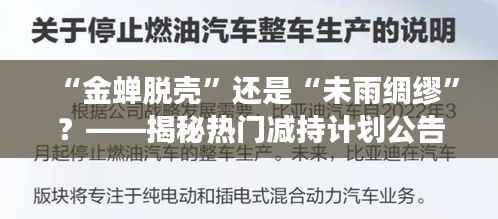 “金蝉脱壳”还是“未雨绸缪”?——揭秘热门减持计划公告背后的故事