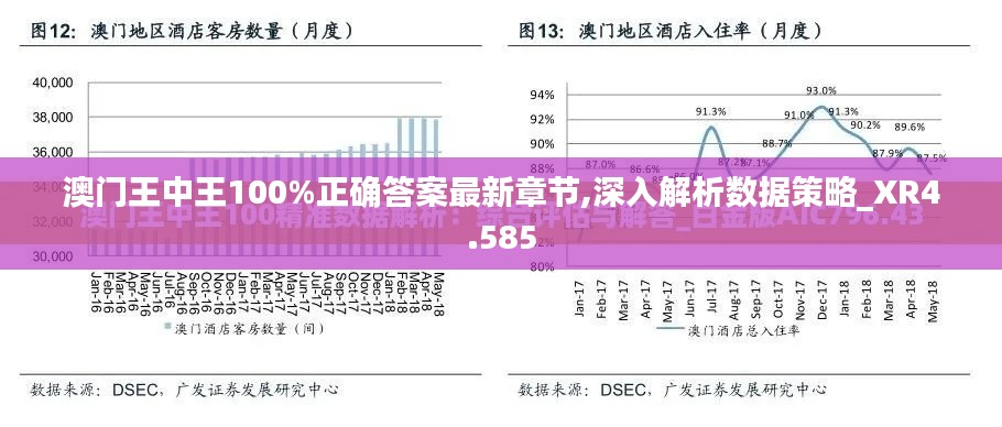 澳门王中王100%正确答案最新章节,深入解析数据策略_XR4.585