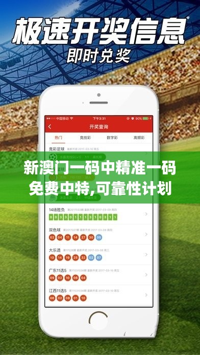 新澳门一码中精准一码免费中特,可靠性计划解析_特供版10.781