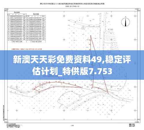 新澳天天彩免费资料49,稳定评估计划_特供版7.753