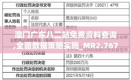 澳门广东八二站免费资料查询,全面数据策略实施_MR2.767
