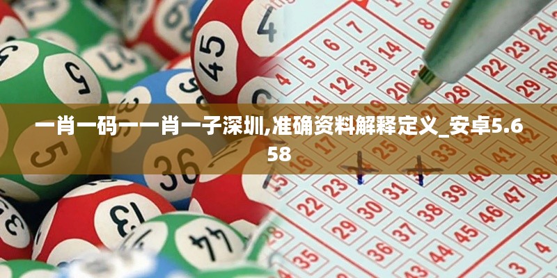 一肖一码一一肖一子深圳,准确资料解释定义_安卓5.658