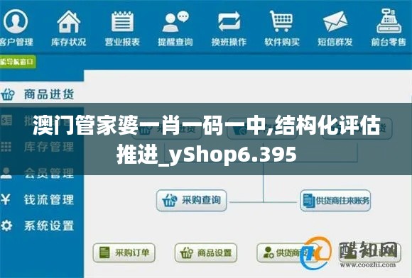 澳门管家婆一肖一码一中,结构化评估推进_yShop6.395