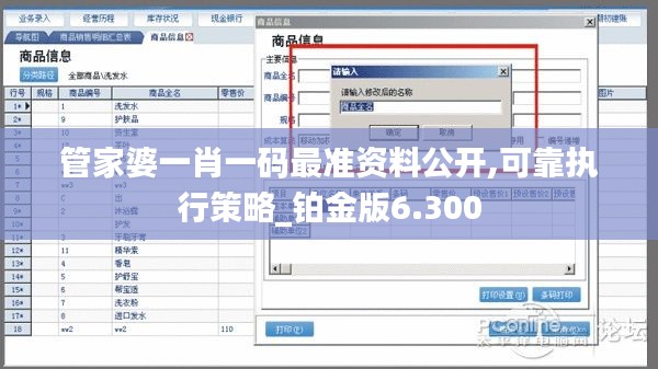 管家婆一肖一码最准资料公开,可靠执行策略_铂金版6.300