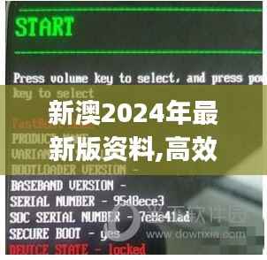 新澳2024年最新版资料,高效解析方法_V21.331