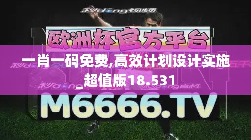 一肖一码免费,高效计划设计实施_超值版18.531