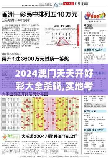 2024澳门天天开好彩大全杀码,实地考察数据应用_RemixOS10.892