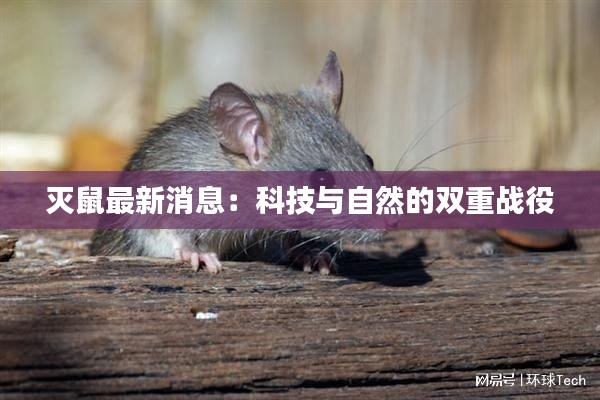 巧舌如簧 第4页