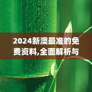 2024新澳最准的免费资料,全面解析与深度体验_SHD3.529
