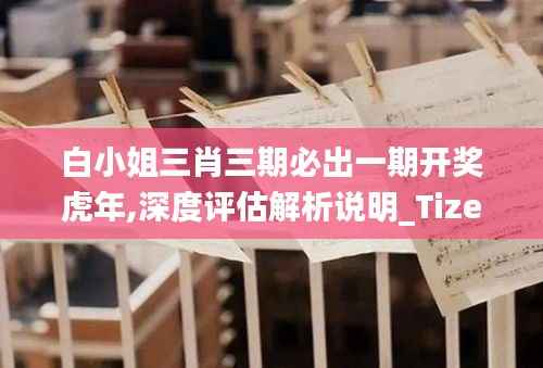 白小姐三肖三期必出一期开奖虎年,深度评估解析说明_Tizen13.631