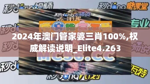 2024年澳门管家婆三肖100%,权威解读说明_Elite4.263