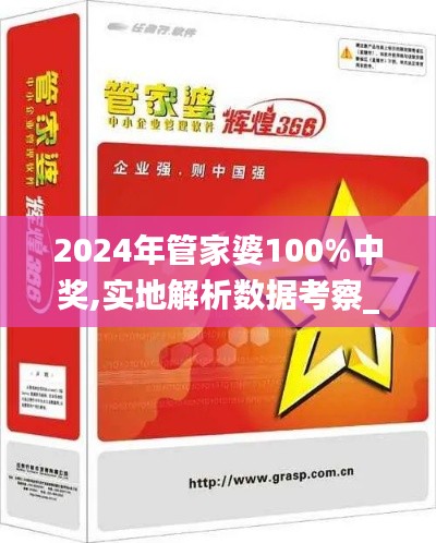 2024年管家婆100%中奖,实地解析数据考察_视频版9.941