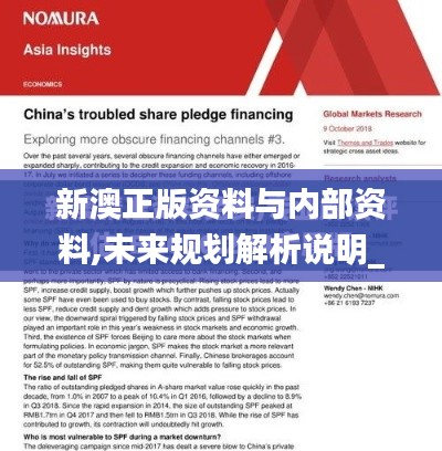 新澳正版资料与内部资料,未来规划解析说明_pack15.659