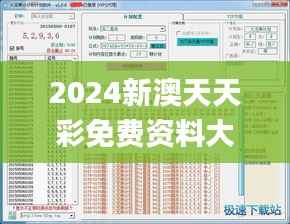2024新澳天天彩免费资料大全查询,灵活性执行计划_入门版5.206
