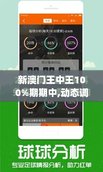 新澳门王中王100%期期中,动态调整策略执行_复古版8.594