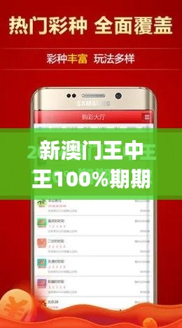 新澳门王中王100%期期中,动态调整策略执行_复古版8.594