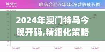 2024年澳门特马今晚开码,精细化策略定义探讨_Advance7.167