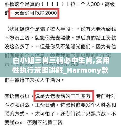 白小姐三肖三码必中生肖,实用性执行策略讲解_Harmony款8.381
