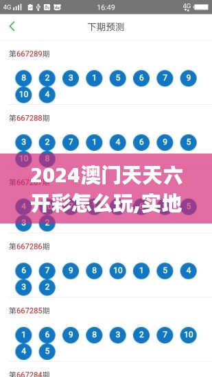 2024澳门天天六开彩怎么玩,实地验证设计方案_苹果款5.160