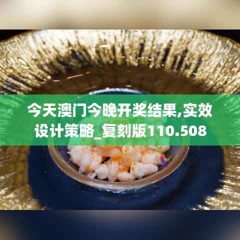 今天澳门今晚开奖结果,实效设计策略_复刻版110.508