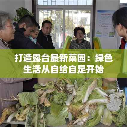 打造露台最新菜园:绿色生活从自给自足开始