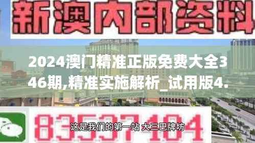 2024澳门精准正版免费大全346期,精准实施解析_试用版4.916