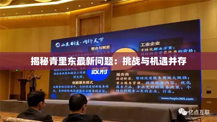 标新创异 第4页