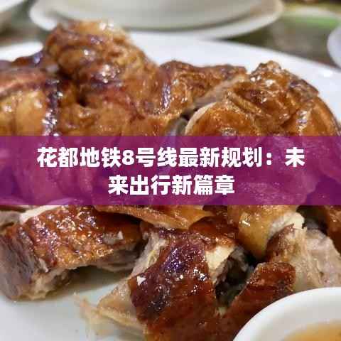 花都地铁8号线最新规划:未来出行新篇章