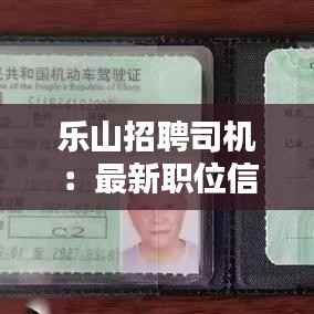 乐山招聘司机:最新职位信息与求职指南