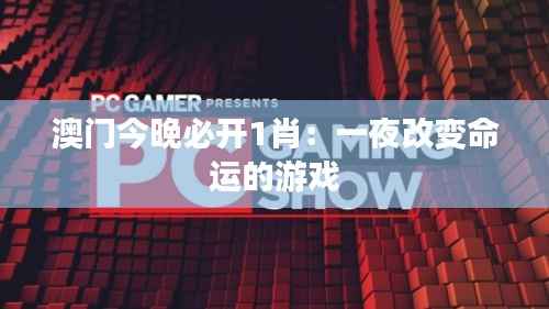 澳门今晚必开1肖:一夜改变命运的游戏