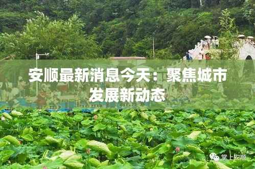 安顺最新消息今天:聚焦城市发展新动态