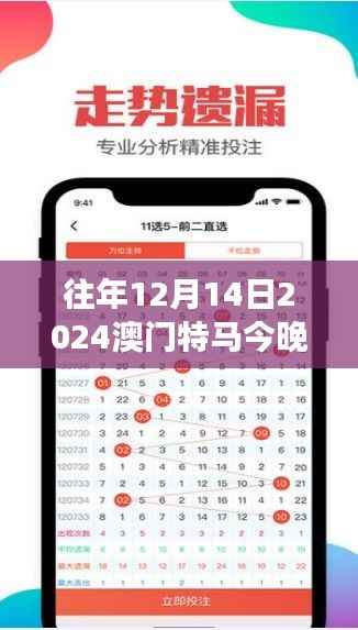 往年12月14日2024澳门特马今晚开奖亿彩网:特马赛事的经济影响力